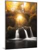 Europe, Luxembourg, Mullerthal - Schiessentümpel Waterfall-Aliaume Chapelle-Mounted Photographic Print