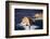 Europe, Maltese Islands, Gozo. Dramatic Scenery in Dwejra.-Ken Scicluna-Framed Photographic Print