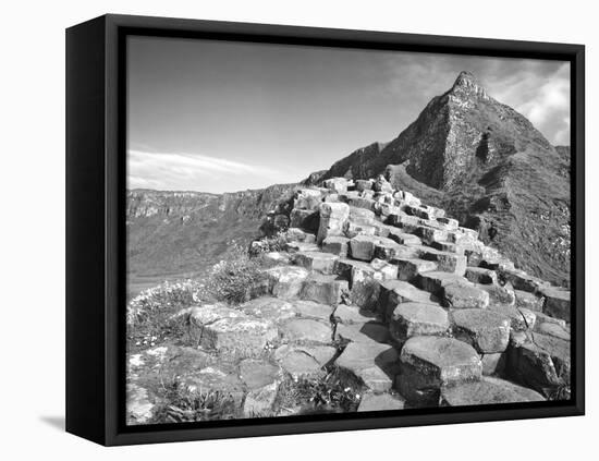 Europe, Northern Ireland. Basalt Columns at the Giant's Causeway-Dennis Flaherty-Framed Premier Image Canvas