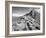 Europe, Northern Ireland. Basalt Columns at the Giant's Causeway-Dennis Flaherty-Framed Photographic Print