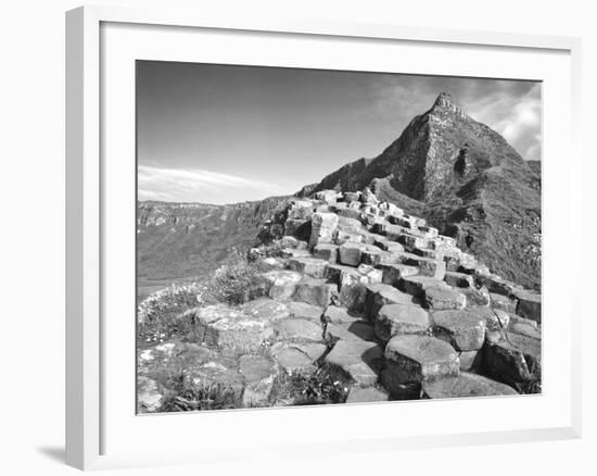 Europe, Northern Ireland. Basalt Columns at the Giant's Causeway-Dennis Flaherty-Framed Photographic Print