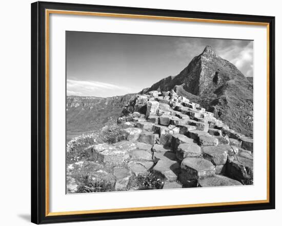 Europe, Northern Ireland. Basalt Columns at the Giant's Causeway-Dennis Flaherty-Framed Photographic Print