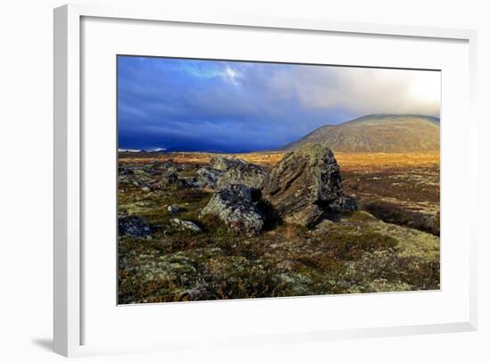 Europe, Norway, Region of Trondelag, Süd-Trondelag, Dovrefjell-Sunndalsfjella National Park, Fjell-Bernd Rommelt-Framed Photographic Print