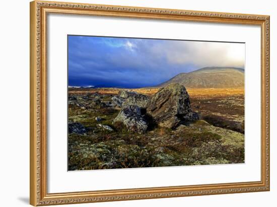 Europe, Norway, Region of Trondelag, Süd-Trondelag, Dovrefjell-Sunndalsfjella National Park, Fjell-Bernd Rommelt-Framed Photographic Print