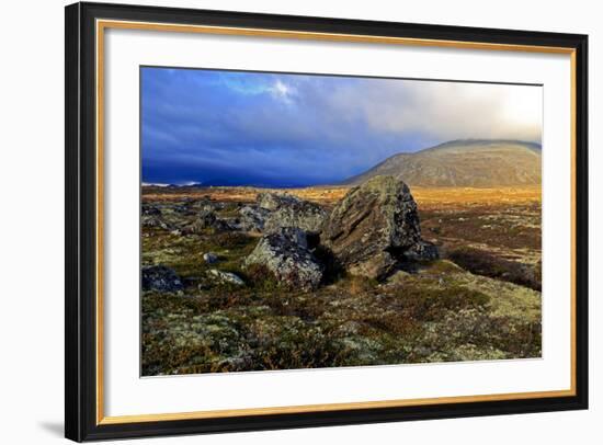 Europe, Norway, Region of Trondelag, Süd-Trondelag, Dovrefjell-Sunndalsfjella National Park, Fjell-Bernd Rommelt-Framed Photographic Print