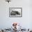 Europe, Norway, Svalbard. Walruses Emerge from the Sea-Jaynes Gallery-Framed Photographic Print displayed on a wall