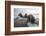 Europe, Norway, Svalbard. Walruses Emerge from the Sea-Jaynes Gallery-Framed Photographic Print