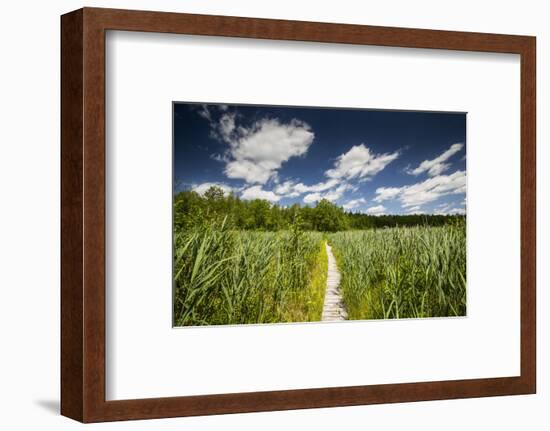 Europe, Poland, Lublin Voivodeship, Polesie National Park-Mikolaj Gospodarek-Framed Photographic Print