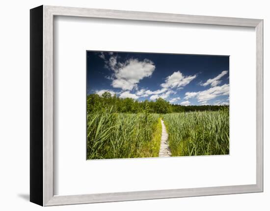 Europe, Poland, Lublin Voivodeship, Polesie National Park-Mikolaj Gospodarek-Framed Photographic Print