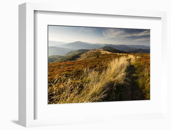 Europe, Poland, Podkarpackie Voivodeship, Bieszczady, Bukowe Berdo - Bieszczady National Park-Mikolaj Gospodarek-Framed Photographic Print