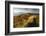 Europe, Poland, Podkarpackie Voivodeship, Bieszczady, Bukowe Berdo - Bieszczady National Park-Mikolaj Gospodarek-Framed Photographic Print