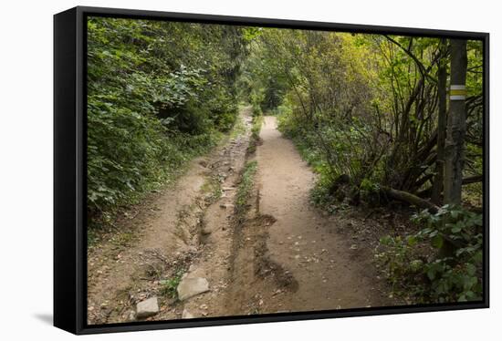 Europe, Poland, Podkarpackie Voivodeship, Bieszczady, Polonina Wetlinska - Bieszczady National Park-Mikolaj Gospodarek-Framed Stretched Canvas