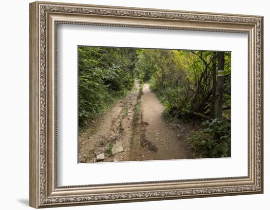 Europe, Poland, Podkarpackie Voivodeship, Bieszczady, Polonina Wetlinska - Bieszczady National Park-Mikolaj Gospodarek-Framed Photographic Print