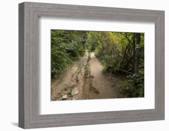 Europe, Poland, Podkarpackie Voivodeship, Bieszczady, Polonina Wetlinska - Bieszczady National Park-Mikolaj Gospodarek-Framed Photographic Print