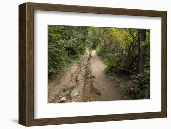 Europe, Poland, Podkarpackie Voivodeship, Bieszczady, Polonina Wetlinska - Bieszczady National Park-Mikolaj Gospodarek-Framed Photographic Print