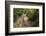 Europe, Poland, Podkarpackie Voivodeship, Bieszczady, Polonina Wetlinska - Bieszczady National Park-Mikolaj Gospodarek-Framed Photographic Print