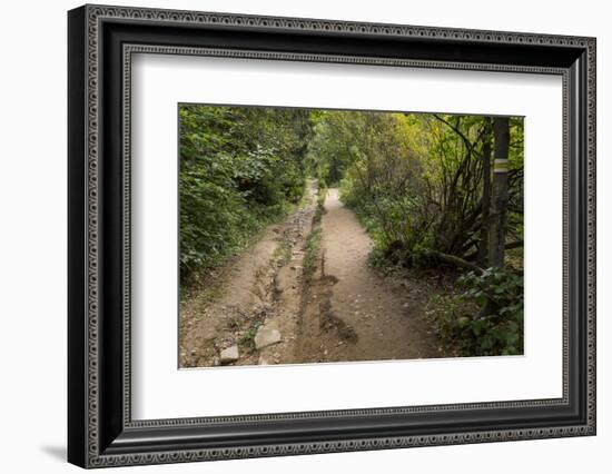 Europe, Poland, Podkarpackie Voivodeship, Bieszczady, Polonina Wetlinska - Bieszczady National Park-Mikolaj Gospodarek-Framed Photographic Print