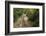 Europe, Poland, Podkarpackie Voivodeship, Bieszczady, Polonina Wetlinska - Bieszczady National Park-Mikolaj Gospodarek-Framed Photographic Print