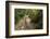 Europe, Poland, Podkarpackie Voivodeship, Bieszczady, Polonina Wetlinska - Bieszczady National Park-Mikolaj Gospodarek-Framed Photographic Print