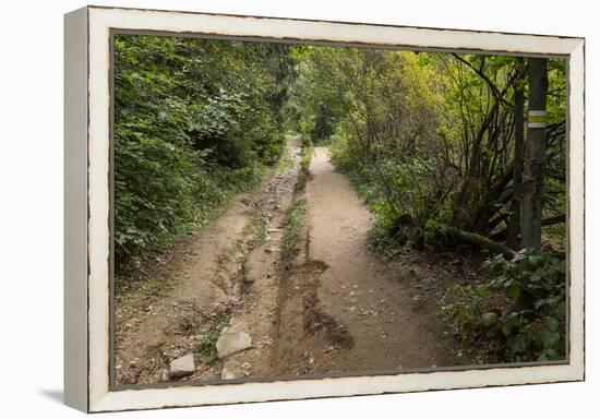 Europe, Poland, Podkarpackie Voivodeship, Bieszczady, Polonina Wetlinska - Bieszczady National Park-Mikolaj Gospodarek-Framed Premier Image Canvas