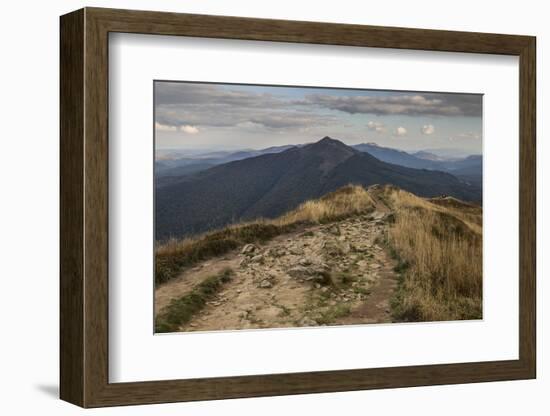 Europe, Poland, Podkarpackie Voivodeship, Bieszczady, Polonina Wetlinska - Bieszczady National Park-Mikolaj Gospodarek-Framed Photographic Print