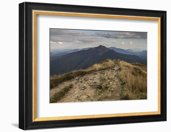 Europe, Poland, Podkarpackie Voivodeship, Bieszczady, Polonina Wetlinska - Bieszczady National Park-Mikolaj Gospodarek-Framed Photographic Print