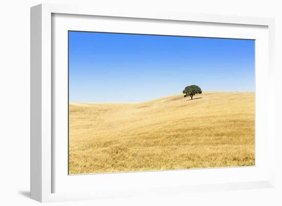 Europe, Portugal, Alentejo, a Solitary Cork Oak Tree in a Wheat Field in the Central Alentejo-Alex Robinson-Framed Photographic Print