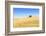 Europe, Portugal, Alentejo, a Solitary Cork Oak Tree in a Wheat Field in the Central Alentejo-Alex Robinson-Framed Photographic Print