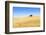 Europe, Portugal, Alentejo, a Solitary Cork Oak Tree in a Wheat Field in the Central Alentejo-Alex Robinson-Framed Photographic Print