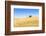 Europe, Portugal, Alentejo, a Solitary Cork Oak Tree in a Wheat Field in the Central Alentejo-Alex Robinson-Framed Photographic Print