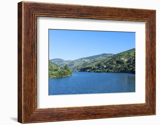 Europe, Portugal, Douro River, Douro River Valley Vineyards-Lisa S. Engelbrecht-Framed Photographic Print