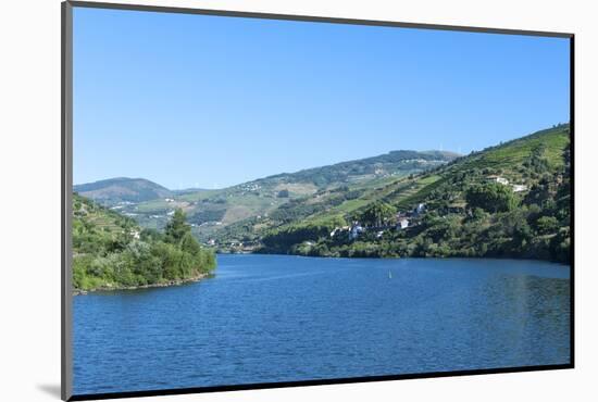 Europe, Portugal, Douro River, Douro River Valley Vineyards-Lisa S. Engelbrecht-Mounted Photographic Print