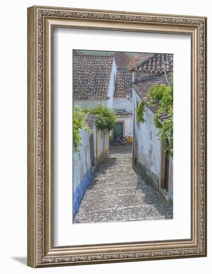 Europe, Portugal, Obidos, Cobblestone Steps-Lisa S^ Engelbrecht-Framed Photographic Print