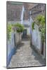 Europe, Portugal, Obidos, Cobblestone Steps-Lisa S^ Engelbrecht-Mounted Photographic Print