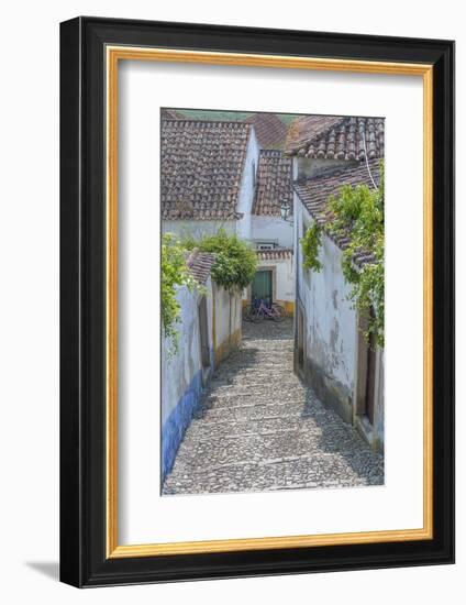 Europe, Portugal, Obidos, Cobblestone Steps-Lisa S^ Engelbrecht-Framed Photographic Print