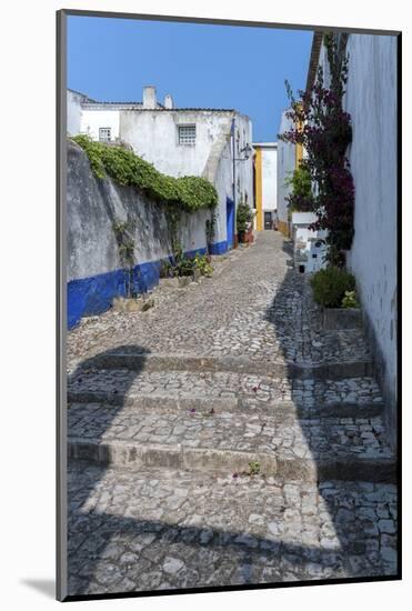 Europe, Portugal, Obidos, Cobblestone Street-Lisa S. Engelbrecht-Mounted Photographic Print