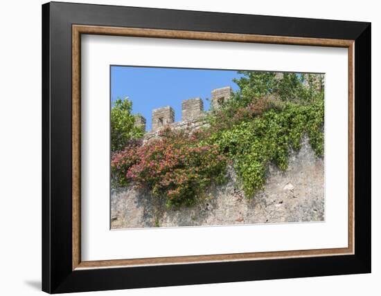 Europe, Portugal, Obidos, Flowering Plant and Vine on Battlement Wall-Lisa S. Engelbrecht-Framed Photographic Print