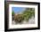 Europe, Portugal, Obidos, Flowering Plant and Vine on Battlement Wall-Lisa S. Engelbrecht-Framed Photographic Print