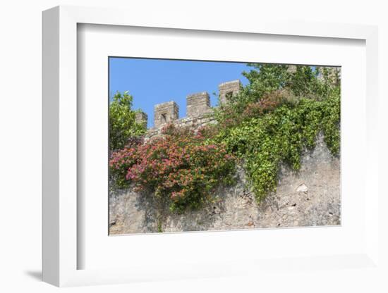 Europe, Portugal, Obidos, Flowering Plant and Vine on Battlement Wall-Lisa S. Engelbrecht-Framed Photographic Print