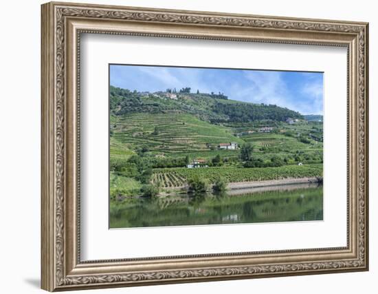 Europe, Portugal, Penajoia Vineyards, Douro River Valley, Douro River-Lisa S. Engelbrecht-Framed Photographic Print