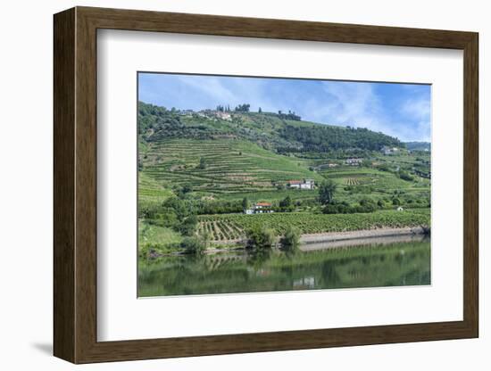 Europe, Portugal, Penajoia Vineyards, Douro River Valley, Douro River-Lisa S. Engelbrecht-Framed Photographic Print