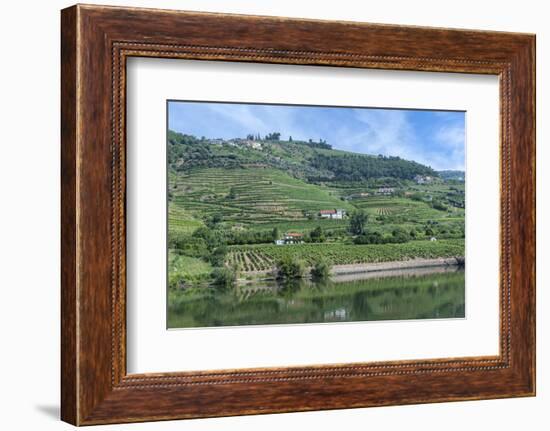 Europe, Portugal, Penajoia Vineyards, Douro River Valley, Douro River-Lisa S. Engelbrecht-Framed Photographic Print