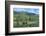 Europe, Portugal, Penajoia Vineyards, Douro River Valley, Douro River-Lisa S. Engelbrecht-Framed Photographic Print