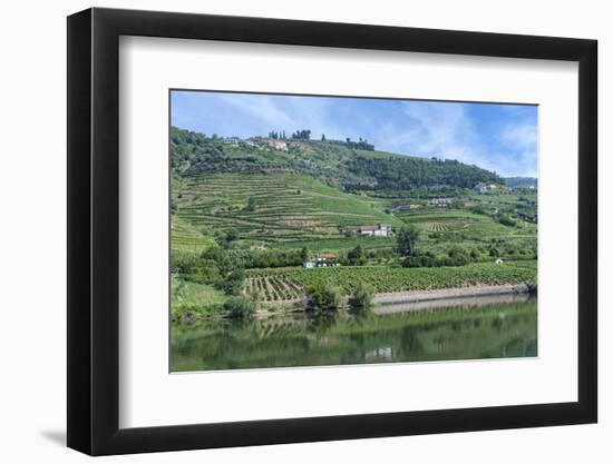 Europe, Portugal, Penajoia Vineyards, Douro River Valley, Douro River-Lisa S. Engelbrecht-Framed Photographic Print