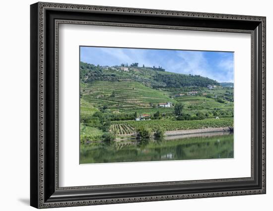 Europe, Portugal, Penajoia Vineyards, Douro River Valley, Douro River-Lisa S. Engelbrecht-Framed Photographic Print