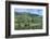 Europe, Portugal, Penajoia Vineyards, Douro River Valley, Douro River-Lisa S. Engelbrecht-Framed Photographic Print