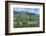 Europe, Portugal, Penajoia Vineyards, Douro River Valley, Douro River-Lisa S. Engelbrecht-Framed Photographic Print