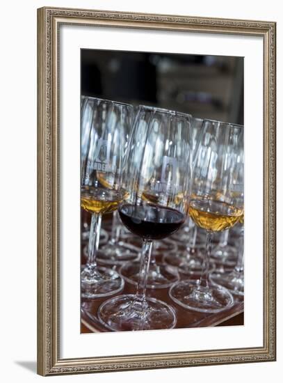 Europe, Portugal, Valenca Do Douro, Tasting Room at Sandeman Winery-Lisa S. Engelbrecht-Framed Photographic Print