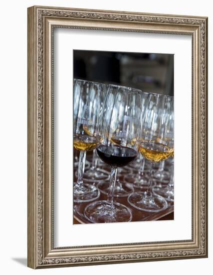 Europe, Portugal, Valenca Do Douro, Tasting Room at Sandeman Winery-Lisa S. Engelbrecht-Framed Photographic Print