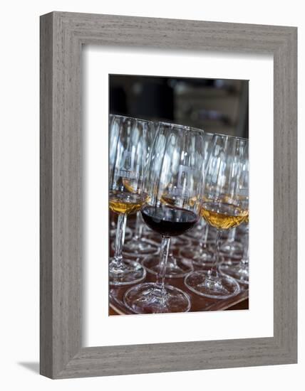 Europe, Portugal, Valenca Do Douro, Tasting Room at Sandeman Winery-Lisa S. Engelbrecht-Framed Photographic Print